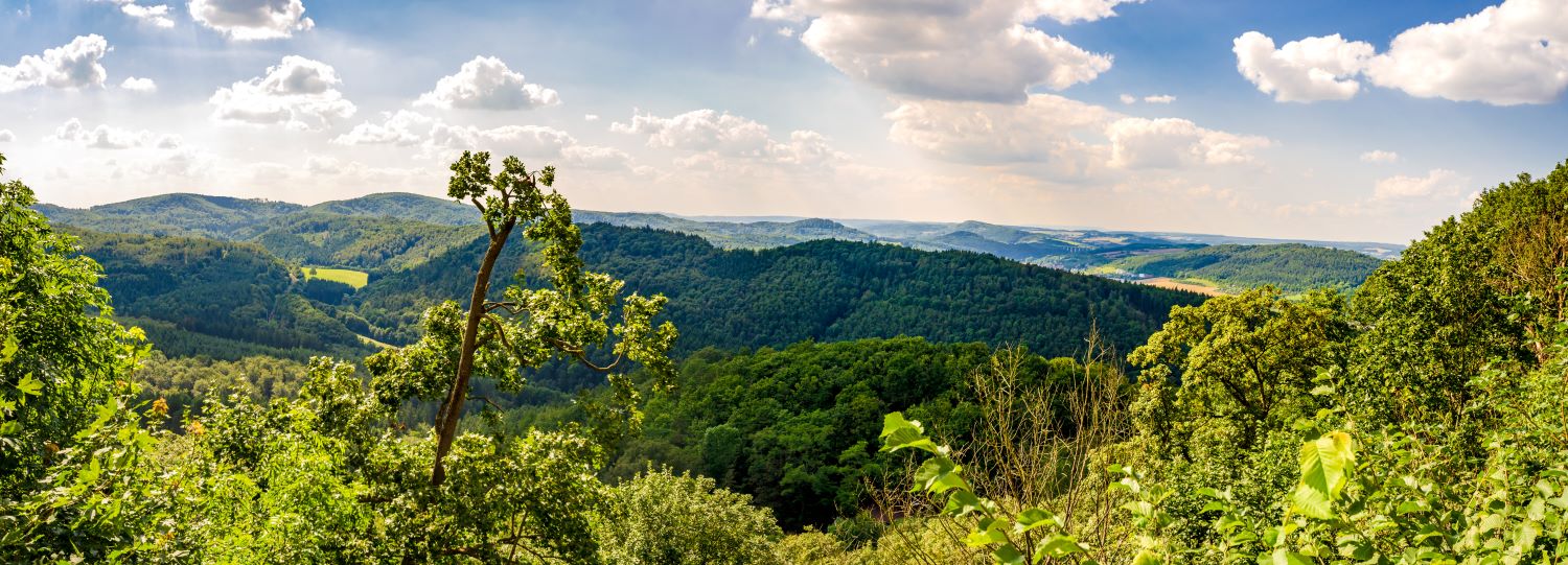 Thüringer Wald